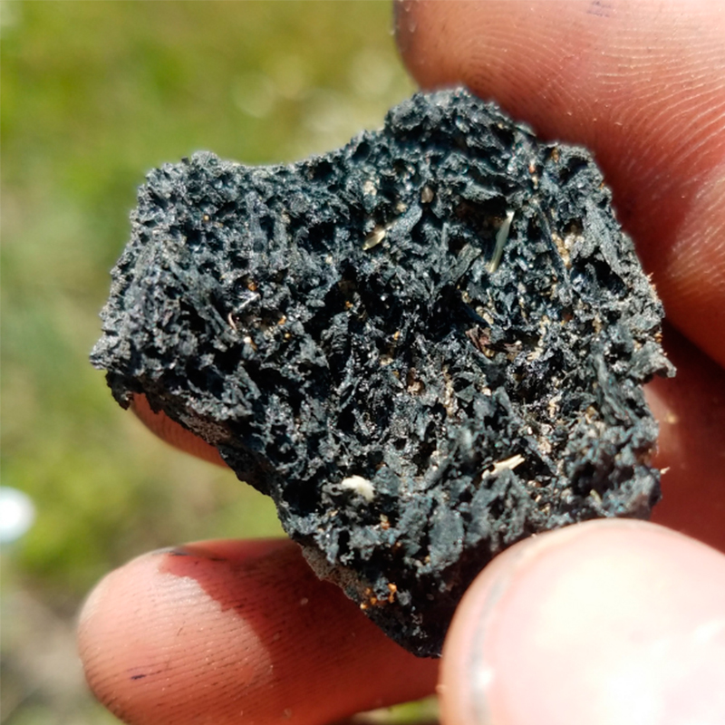 biochar-puigagra biochar-puigagra
