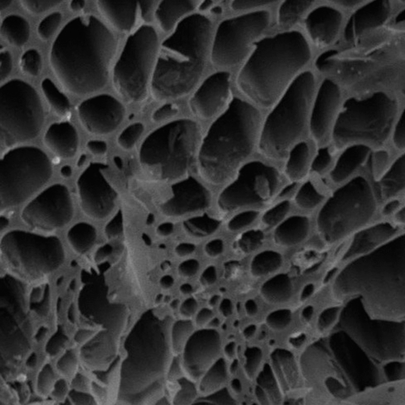 biochar-puigagra